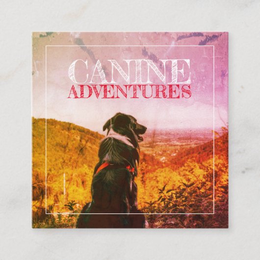 Dog Walker en Dog Adventures Textured Glow Vierkante Visitekaartje (Voorkant)