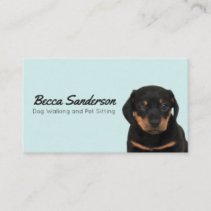 Dog Walker, Groomer, Pet Sitter, Vet Winking Dog Visitekaartje