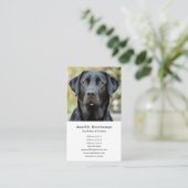 Dog Walker Pet Sitter Custom Foto Wit Visitekaartje (Staand voorkant)