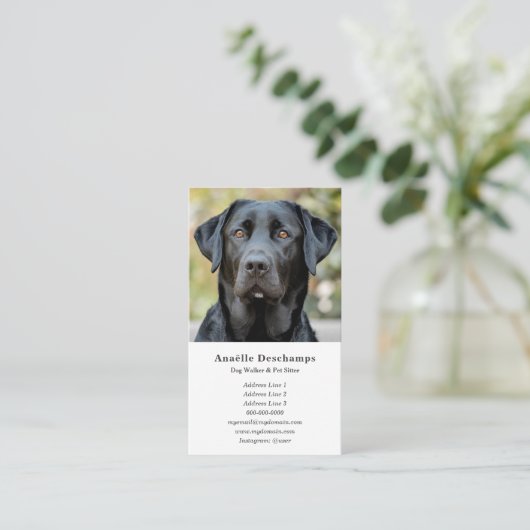 Dog Walker Pet Sitter Custom Foto Wit Visitekaartje (Staand voorkant)