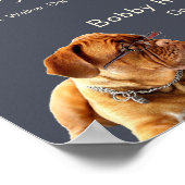 Dog Walker Trainer Foto Adverteren grote bedrijven Poster (Hoek)