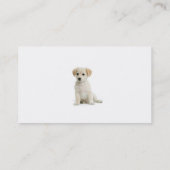 Dog Walker Visitekaartje (Achterkant)