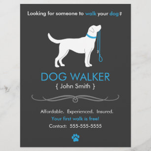 Dog Walker Walking Business Flyer Sjabloon