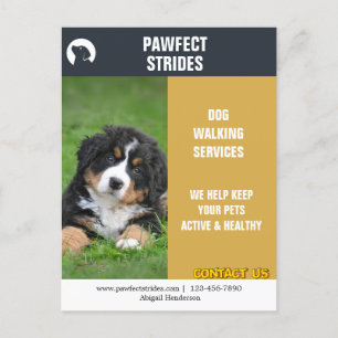 Dog Walker Zakelijke Marketing Briefkaart
