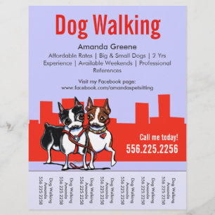 Dog Walking Boston Terriers Scheurblad Flyer