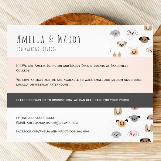Dog Walking Business - Jonge Ondernemer Flyer