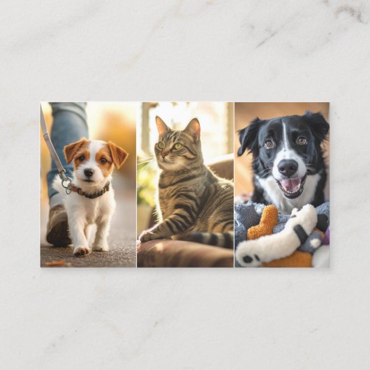 Dog Walking Pet Sitting Boarding Visitekaartje (Achterkant)