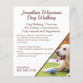Dog Walking Pet Sitting Business Promotion Flyer