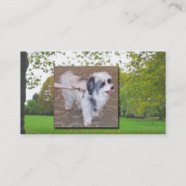 Dog Walking Visitekaartje