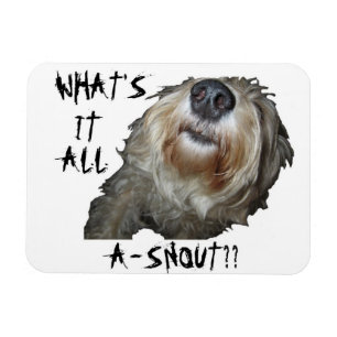Dog "WAT IS HET ALLEMAAL A-SNOUT" Flexibel magneet