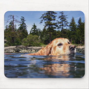 Dog water - Muismat