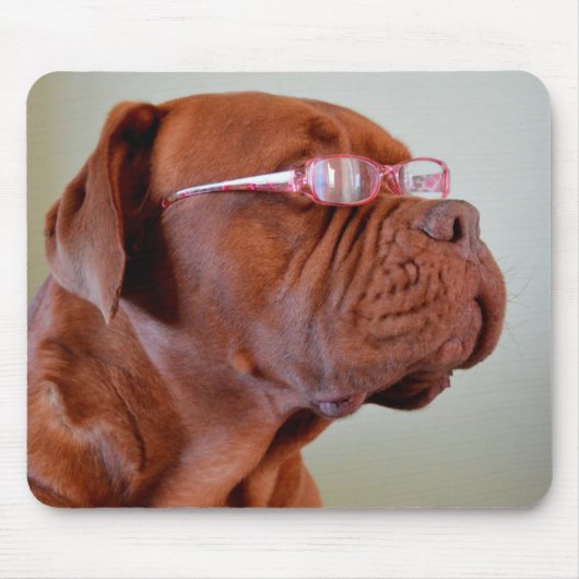 Dog Wearing Pink Eyeglasses Muismat (Voorkant)