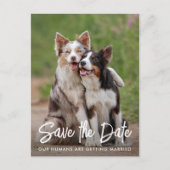 Dog Wedding Personalized Pet Photo Save the Date Aankondigingskaart (Voorkant)