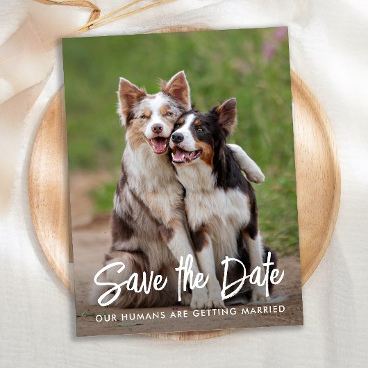 Dog Wedding Personalized Pet Photo Save the Date Aankondigingskaart