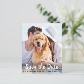 Dog Wedding Pet Foto bewaart het budget voor datum (Staand voorkant)