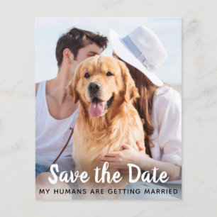 Dog Wedding Pet Foto bewaart het budget voor datum
