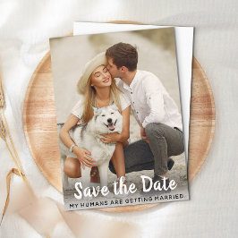 Dog Wedding Save the Date Budget Briefkaart