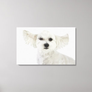 Dog winking canvas afdruk