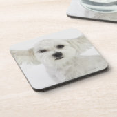 Dog winking onderzetter (Linkerzijde)