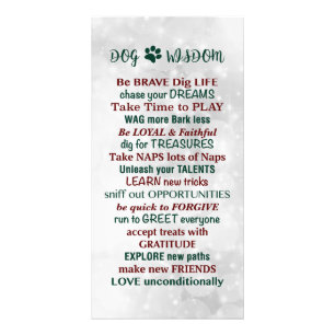 Dog Wisdom Quote Foto Afdruk