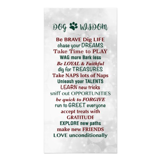 Dog Wisdom Quote Foto Afdruk (Voorkant)