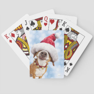 Dog With Big Santa Hat Pokerkaarten