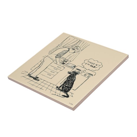 Dog wordt ouder tegeltje (Zijkant)