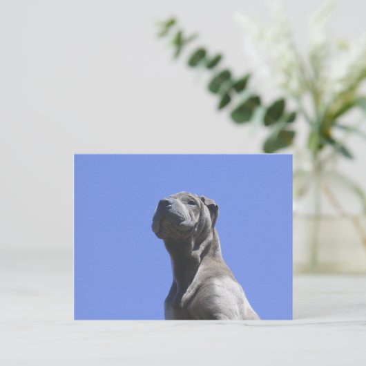 Dog Years... Briefkaart (Staand voorkant)