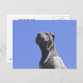 Dog Years... Briefkaart (Voorkant / Achterkant)