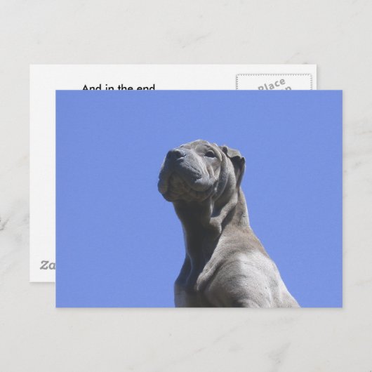 Dog Years... Briefkaart (Voorkant / Achterkant)