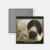 Dog Years Magneet (Voorkant / Achterkant)