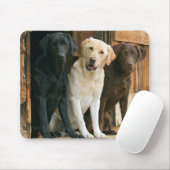 Dog Yellow Lab Black Brown Labrador Retriever Muismat (Met muis)