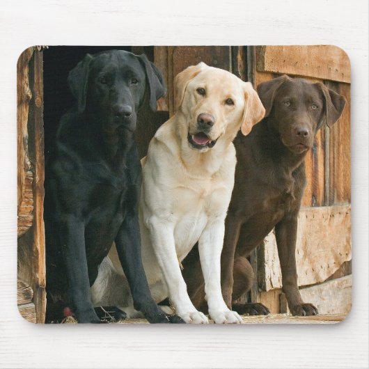 Dog Yellow Lab Black Brown Labrador Retriever Muismat (Voorkant)