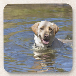 Dog-zwemmen Bier Onderzetter