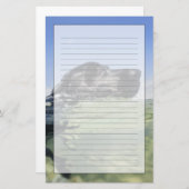 Dog zwemmen in water briefpapier (Voorkant / Achterkant)