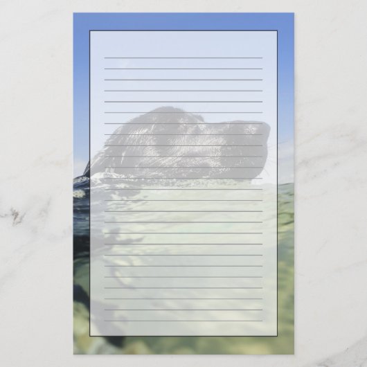 Dog zwemmen in water briefpapier (Voorkant)