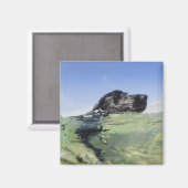 Dog zwemmen in water magneet (Voorkant / Achterkant)