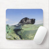 Dog zwemmen in water muismat (Met muis)