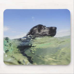 Dog zwemmen in water muismat