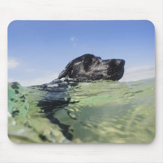 Dog zwemmen in water muismat (Voorkant)