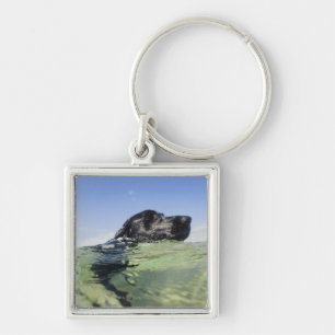 Dog zwemmen in water sleutelhanger