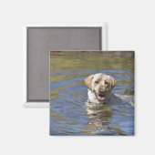 Dog-zwemmen Magneet (Voorkant / Achterkant)