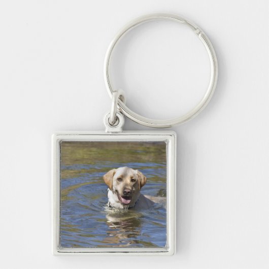 Dog-zwemmen Sleutelhanger (Voorkant)