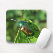 Dogbane Beetle Mousepad Muismat (Met muis)
