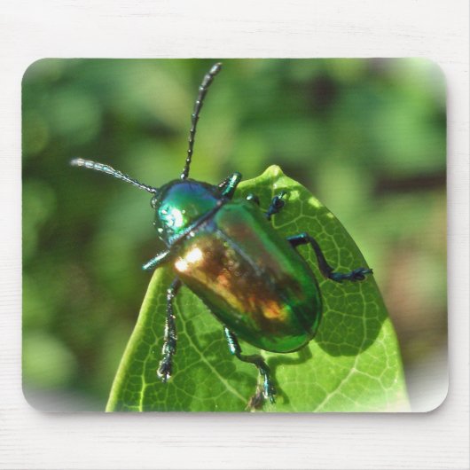 Dogbane Beetle Mousepad Muismat (Voorkant)