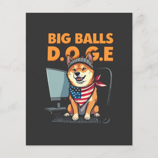 Doge afdeling van de overheid Efficiëntie Flyer (Voorkant)