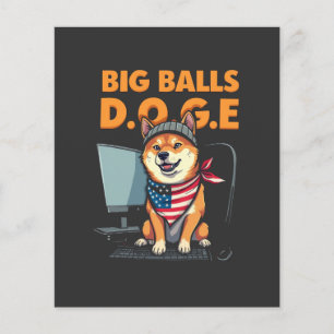 Doge afdeling van de overheid Efficiëntie Flyer