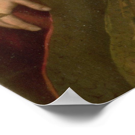 Doge Alvise Mocenigo Poster (Hoek)