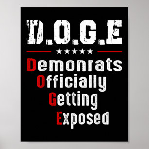Doge Democraten officieel ontmaskerd Poster