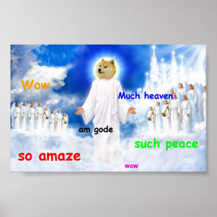 doge hemel poster